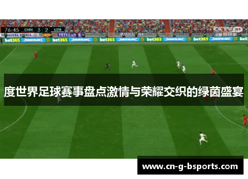 度世界足球赛事盘点激情与荣耀交织的绿茵盛宴