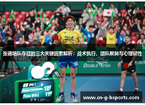 张德培队夺冠的三大关键因素解析:战术执行、团队默契与心理韧性 张德培队夺冠的三大关键因素解析:战术执行、团队默契与心理韧性