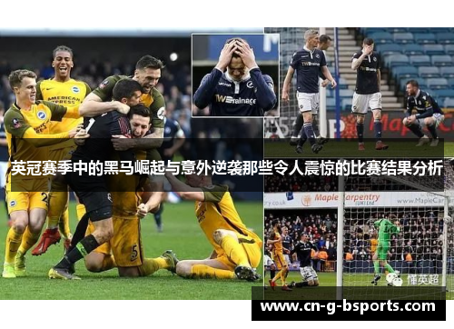 英冠赛季中的黑马崛起与意外逆袭那些令人震惊的比赛结果分析