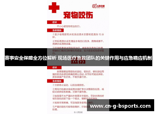 赛事安全保障全方位解析 现场医疗急救团队的关键作用与应急响应机制